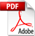 PDF file